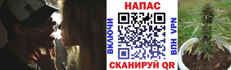 Продажа наркотиков Мегион Галлюциногенные грибы  Гашиш  Бошки Шишки  АМФЕТАМИН 